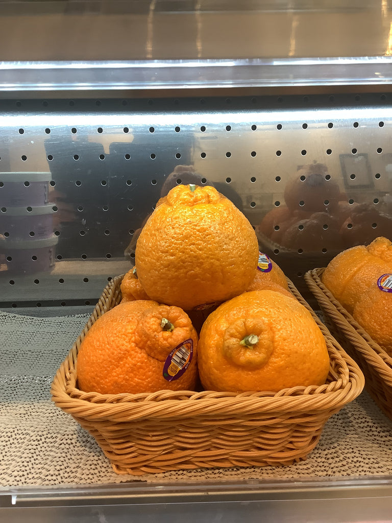 SUMO ORANGE