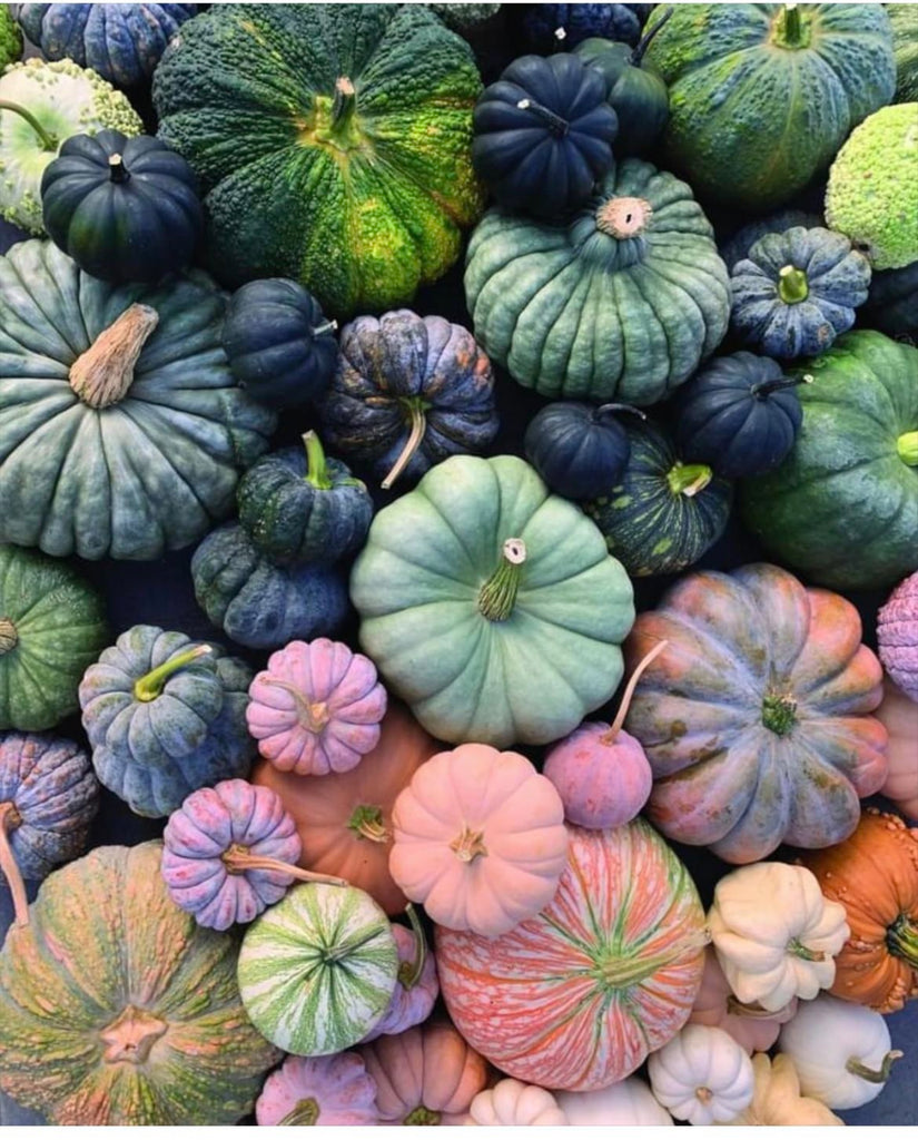 Pumpkin Decorating Workshop