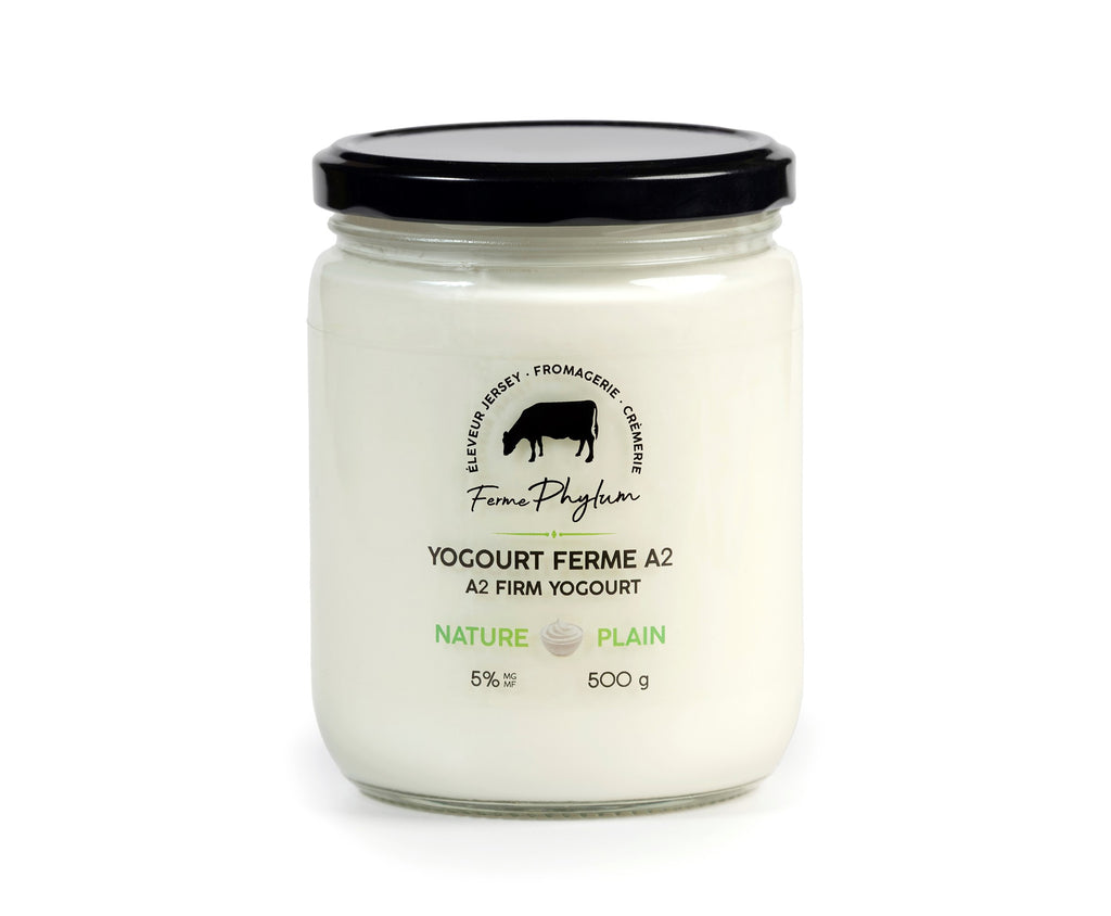 Ferme Phylum A2 Firm Yogurt - Plain